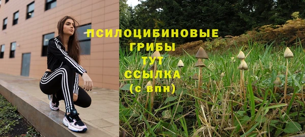 гидра Армянск