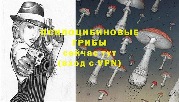 гидра Армянск