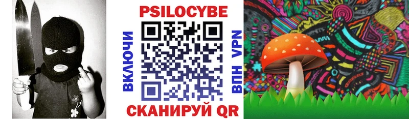 площадка Telegram  где продают   Москва  Псилоцибиновые грибы мицелий 